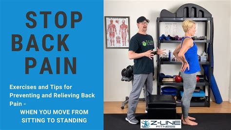 Seated And Standing Exercises For Lower Back Pain Youtube