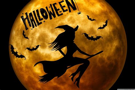 🔥 Download Halloween Witch On Broom Wallpaper Top By Tmaynard98