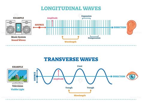 Types Of Longitudinal Transverse And Surface Waves Examples Outline