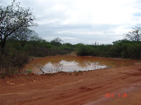 Maybe you would like to learn more about one of these? Fatos e Fotos da Caatinga: Os barreiros do Sertão do Nordeste
