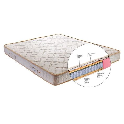 They also tend to be marginally more 'bouncy' than their memory foam counterparts. Buy Centuary PU Foam Spring Mattress - Zing online in ...