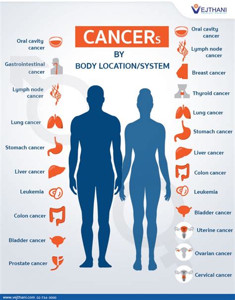 Human Cancer Types