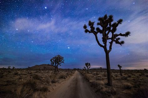 Joshua Tree National Park At Night Plus Astrophotography Tips A