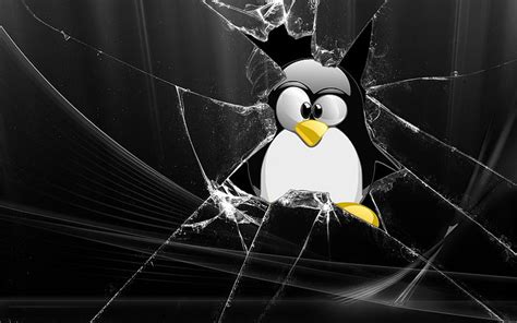 Hd Wallpaper Glass Linux Tux Penguins 1920x1200 Technology Linux Hd