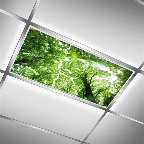 Tree Canopy Lights Fluorescent Light Covers For Office Classroom Led
