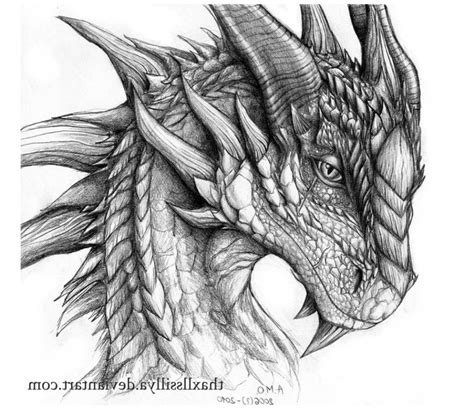 Realistic Dragon Drawing Dragon Head Drawing Dragon Head Tattoo