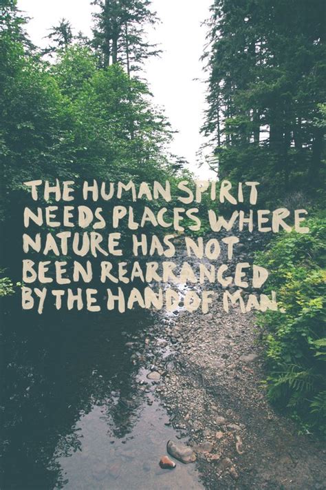 Spirit Nature Quotes Quotesgram