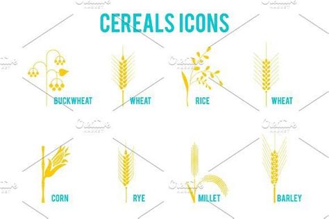 Cereals Icons Of Grain Plants Grain Cereal Oat Cereal Wheat Rice