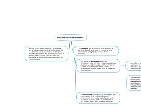 Distrofia Muscular Duchenne Mind Map The Best Porn Website The Best