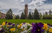 University of Northern Iowa Rankings, Reviews and Profile Data ...