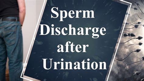 What Causes Discharge After Urination In Males