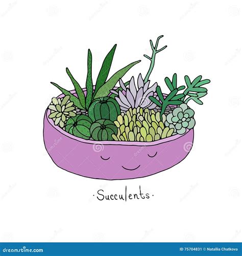 Cartoon Cute Succulents In Pot Stock Vector Illustration Of Design
