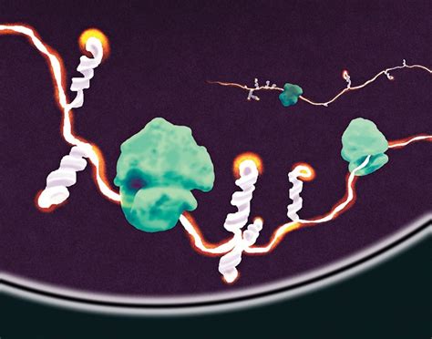 Maybe you would like to learn more about one of these? Novartis, UNC study suggests mRNA structures are a common ...
