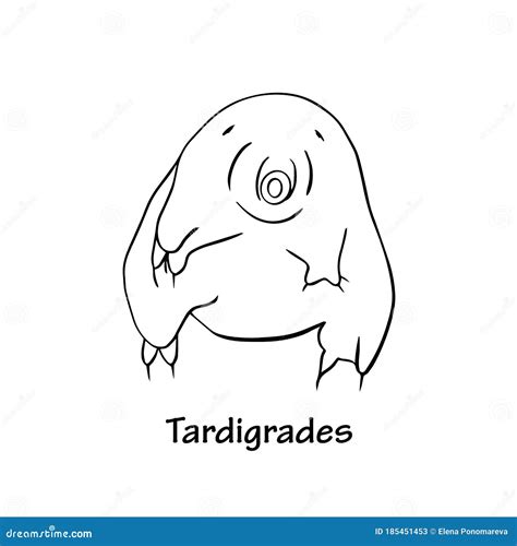 Tardigrades Simple Outline Vector Illustration Stock Vector