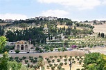 Mount of Olives in Jerusalem – Israel Revealed