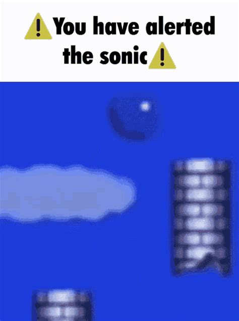 You Have Alerted The Sonic Sonic Gif You Have Alerted The Sonic Alerted The Sonic Sonic