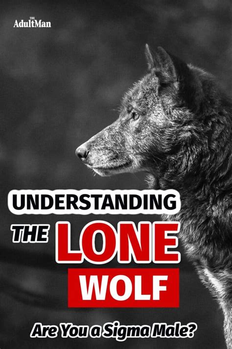 The Sigma Male Explained Understanding The Lone Wolf Sigma Male