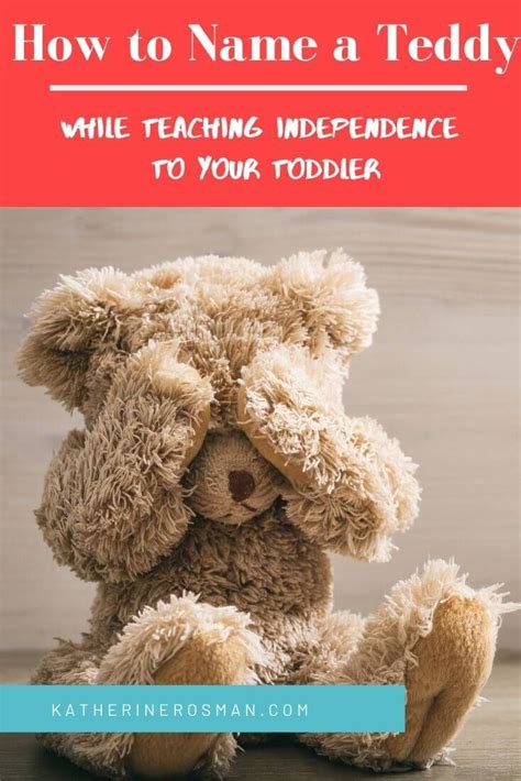 A Teddy Bear With The Title How To Name A Teddy While Teaching