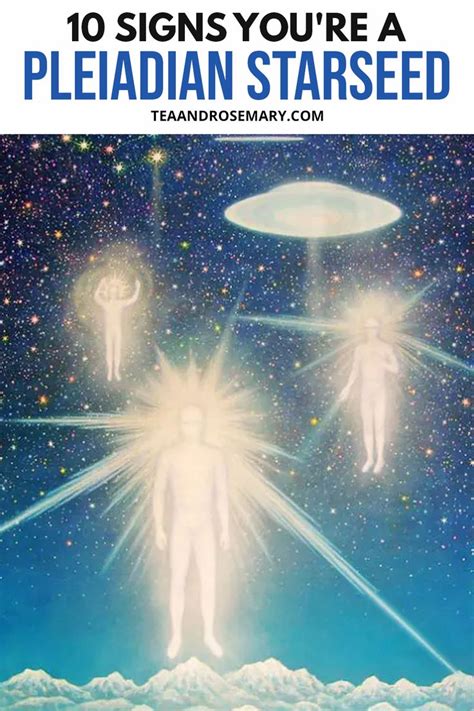 Are You A Pleiadian Starseed How To Know For Sure Starseed