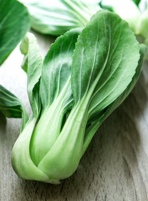 Chou Chinois Pak Choi Vert Graines De Bambousfr