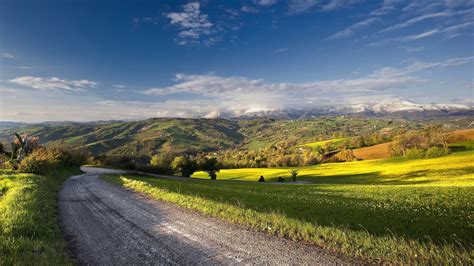 Road Between Beautiful Green Grass Field Trees Landscape View Of