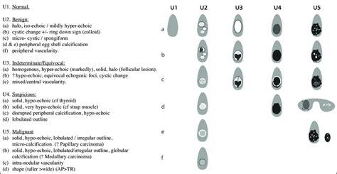 U Classification For The Ultrasound Assessment Of Thyroid Nodules