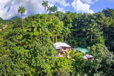 Escape To Nature At Cocoa Cottage In Dominica Purely Dominica Purely Dominica