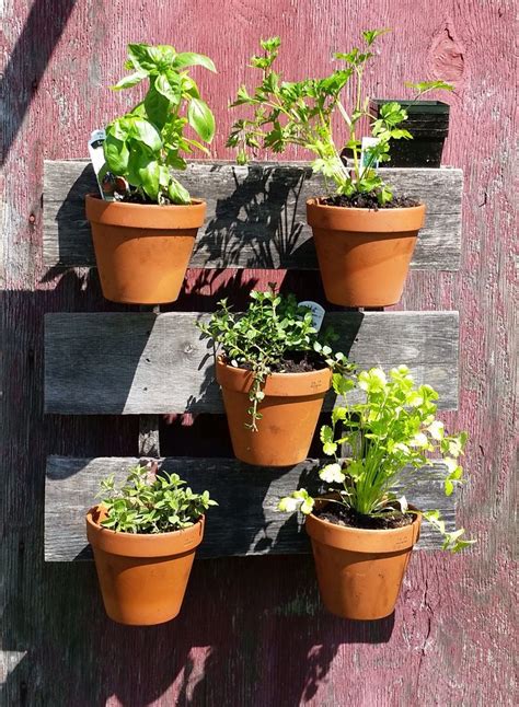 Vertical Herb Garden In Clay Pots Secured With Hangapot