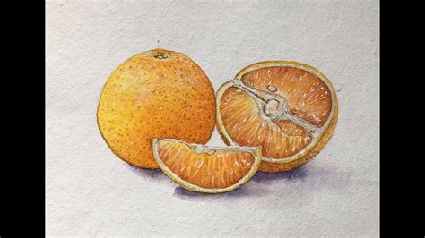 Oranges Painting In Watercolor Realistic Orange Painting Fruit