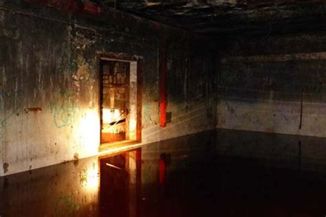 Scary Underground Tunnel Discovered Under A Neglected Home 26 Pics