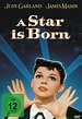 A Star Is Born - Ein neuer Stern am Himmel: DVD oder Blu-ray leihen ...