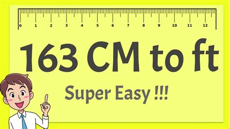 Convert between centimeters and feet and inches (cm and ft and in) using this calculator tool. 163 cm in feet - YouTube