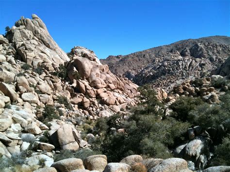 Hiking Into Shape Rattlesnake Canyon Joshua Tree National Park