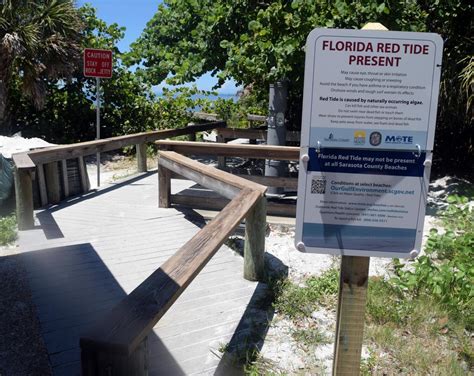 Red Tide Warnings Have Been Posted On Several Sarasota County Beaches Florida News