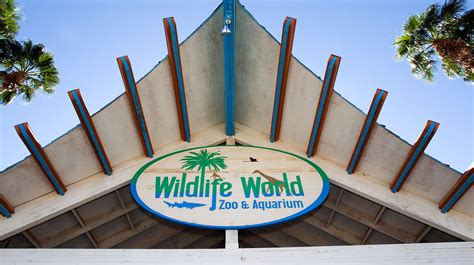 Wildlife World Zoo Did Everything Right After Attack Official Says