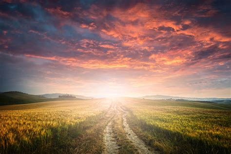 Country Dirt Road Tuscany Sunset Landscape Photo Poster 18x12 Inch
