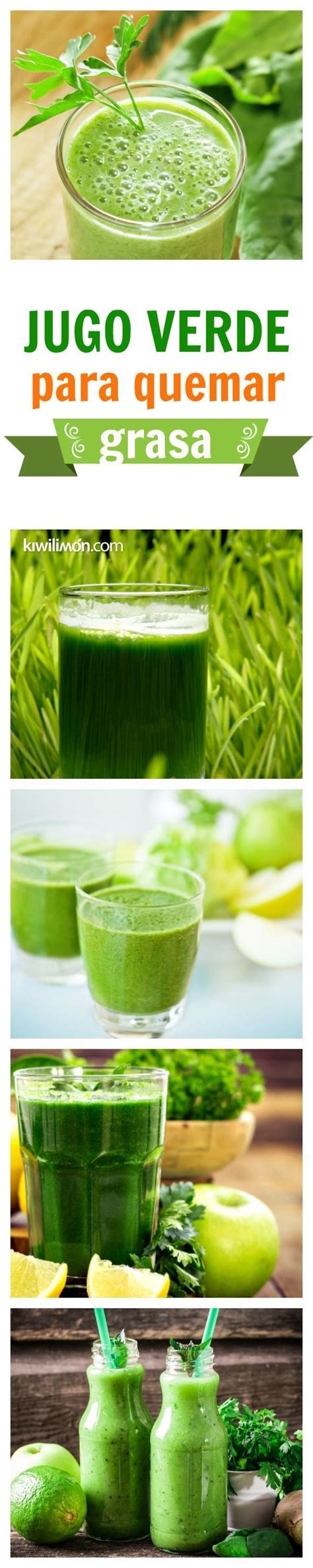 Es un alimento rico en vitamina e. Jugo Verde para quemar grasa | Jugos verdes recetas ...