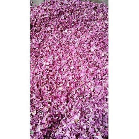 Freezed Pink Rose Petals Pack Size 1 Kg At Rs 400kilogram In Ajmer