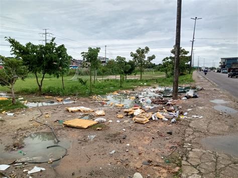 Manaus Sofre Constantes Atos De Vandalismo Contra A Arborização