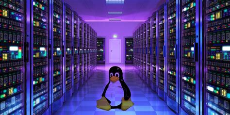 12 Best Linux Server Operating Systems and Who Should Use Them