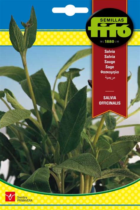 Semillas De Salvia Officinalis De Marca Fito — Gardenshop