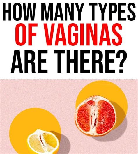 Different Types Of Vaginas Xwetpics My Xxx Hot Girl