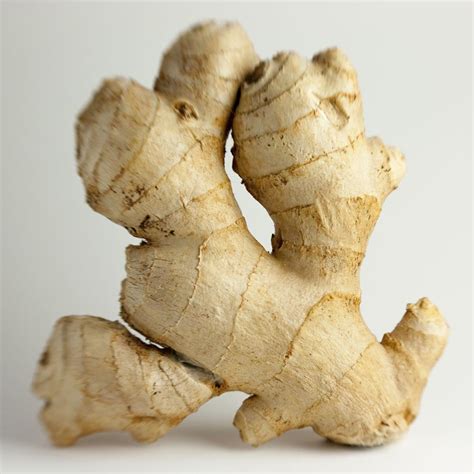 Ginger Root Plant