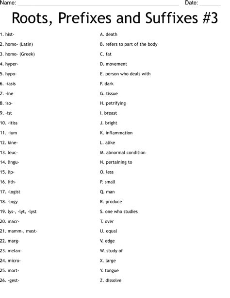 Roots Prefixes And Suffixes Worksheet Wordmint