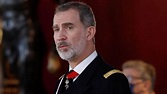 El Rey Felipe volvió de Austria con las manos llenas - Show España