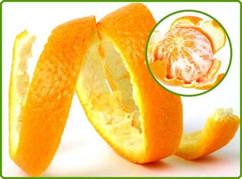 Orange Peel Extract At Best Price In Ghaziabad Uttar Pradesh From