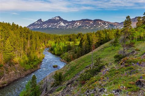 Bosque Nacional De Helena Lewis And Clark Montana Estados Unidos