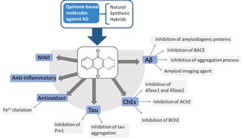 Naphthoquinone And Anthraquinone Encyclopedia Mdpi