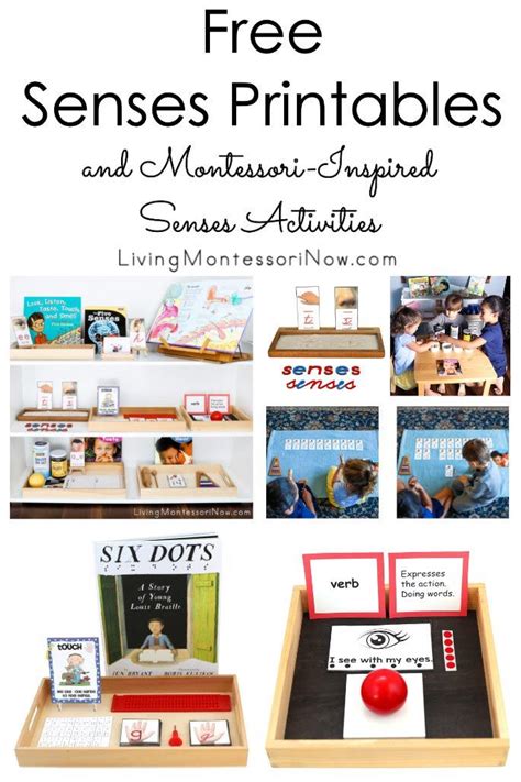 Free Senses Printables And Montessori Inspired Senses Activities