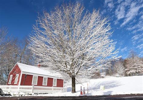PHOTOS: A Beautiful Snowy Day in Boston - NECN